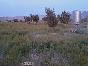 MLS #DW25249556 image #0