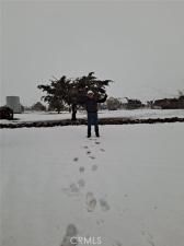 MLS #DW25249556 image #0