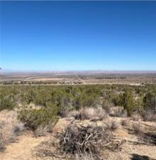 MLS #DW25263892 image #0