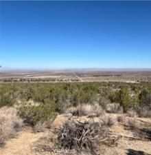 MLS #DW25263892 image #0