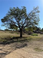 MLS #DW25269277 image #0