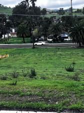 MLS #DW26002269 image #0