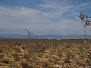 MLS #DW26053294 image #0