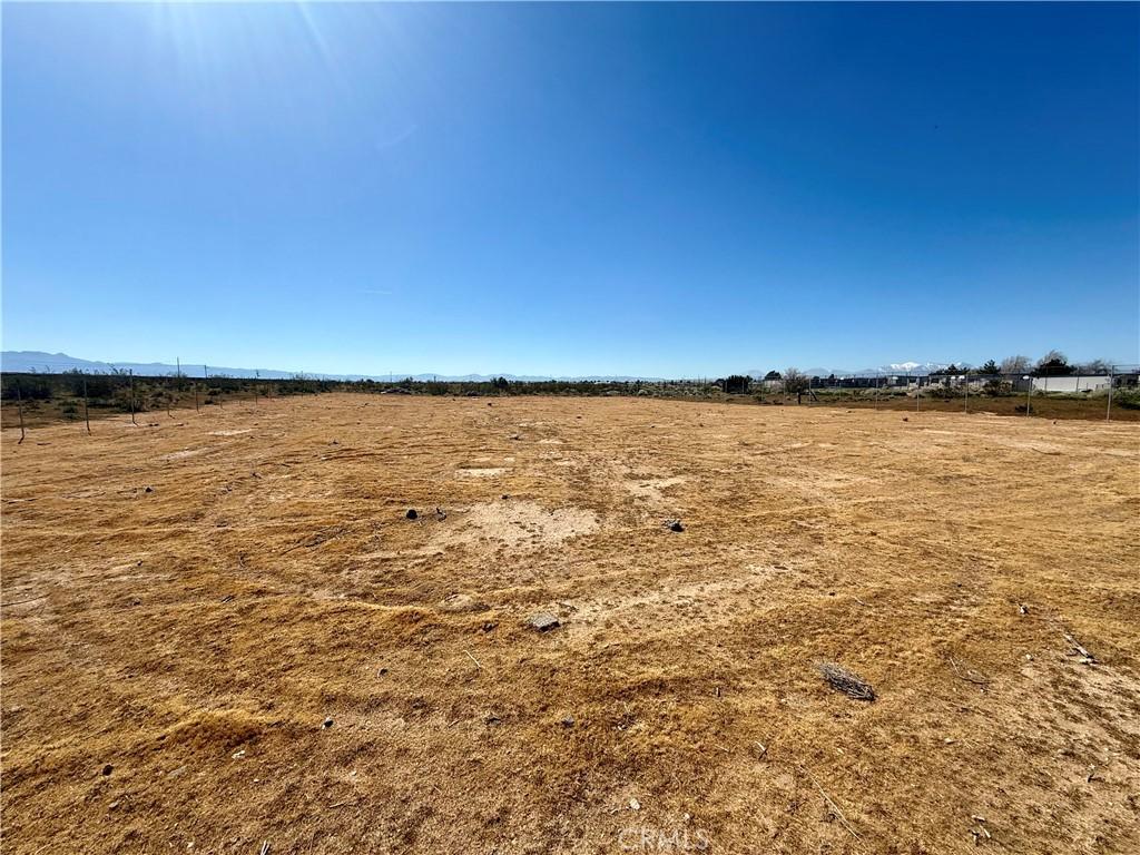 MLS #DW26053628 image #0