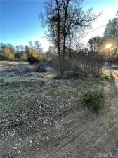 MLS #DW26078440 image #0