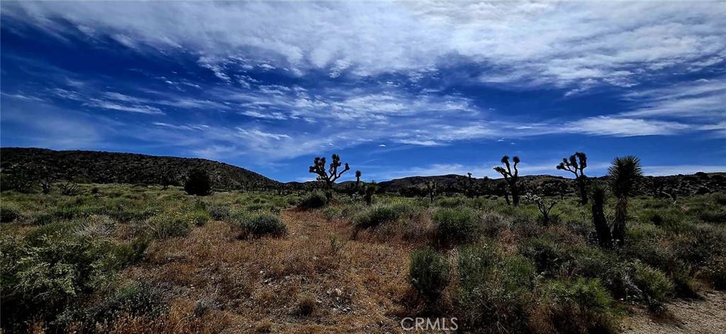 8900 Bainard Canyon RD Littlerock CA 93550 | MLS #DW26084505 41 MLS #DW26084505 image #0