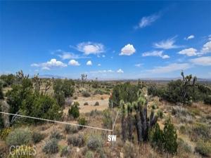 MLS #DW26084505 image #0