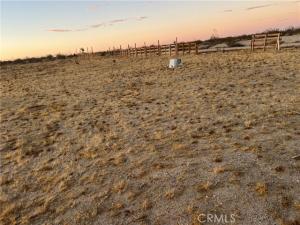 MLS #DW26092765 image #0