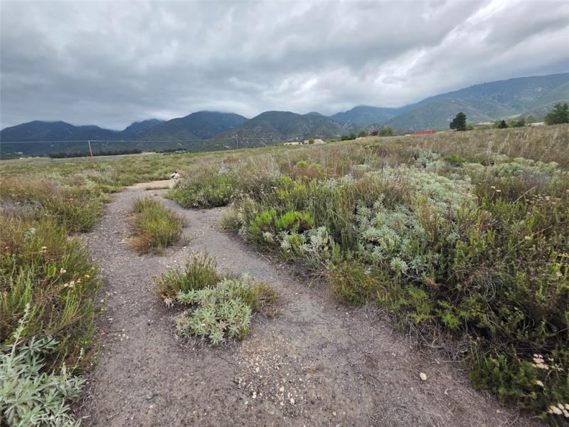 MLS #DW26097353 image #0