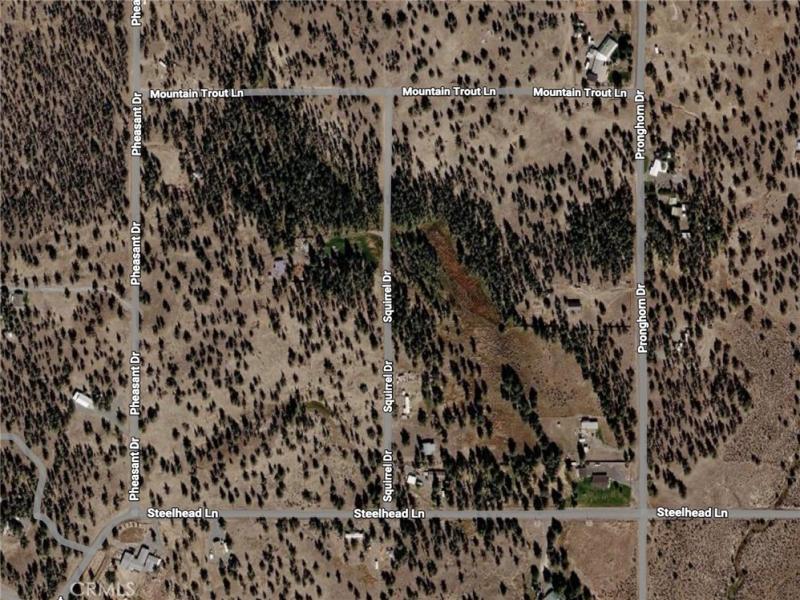 Pheasant DR Lot 14 Alturas CA 96101 | MLS #DW26103419 9 MLS #DW26103419 image #0
