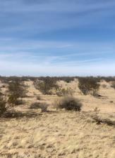 MLS #DW26122895 image #0