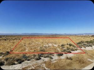MLS #DW26127834 image #0