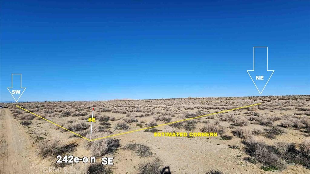 MLS #DW26145458 image #0