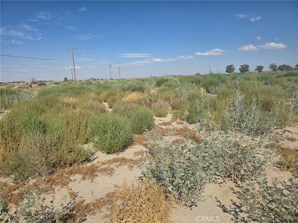 MLS #DW26147174 image #0