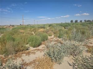 MLS #DW26147174 image #0