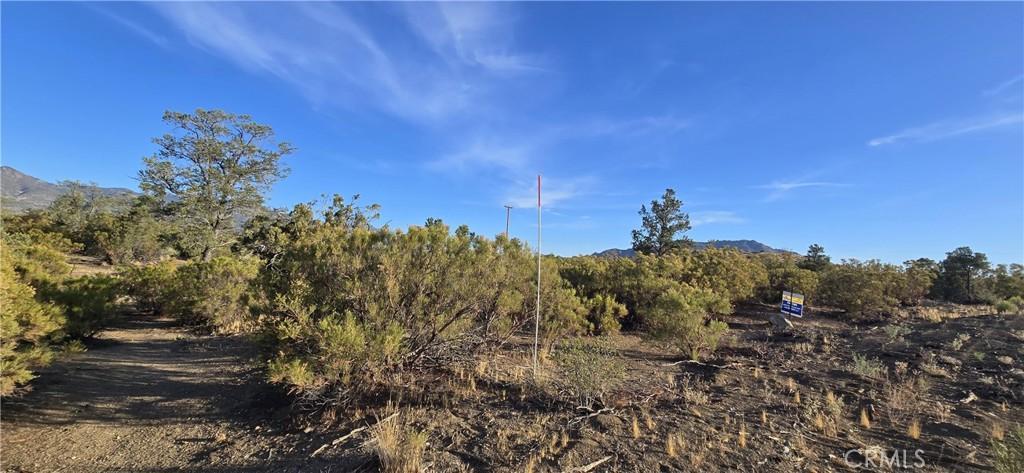 MLS #DW26149054 image #0