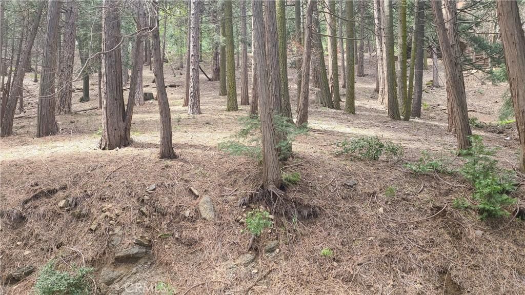 MLS #EV23082575 image #0