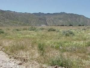 MLS #EV23090756 image #0