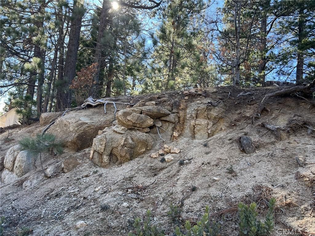 MLS #EV24016322 image #0