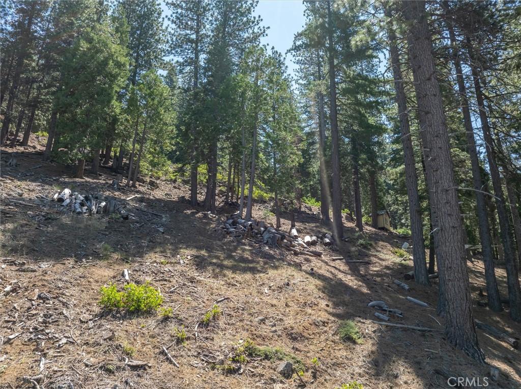 MLS #FR24130752 image #0