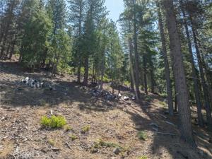 MLS #FR24130752 image #0
