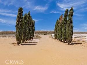 MLS #FR25053966 image #0