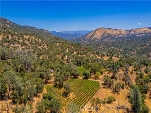 MLS #FR25156882 image #0