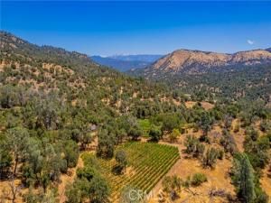 MLS #FR25156882 image #0