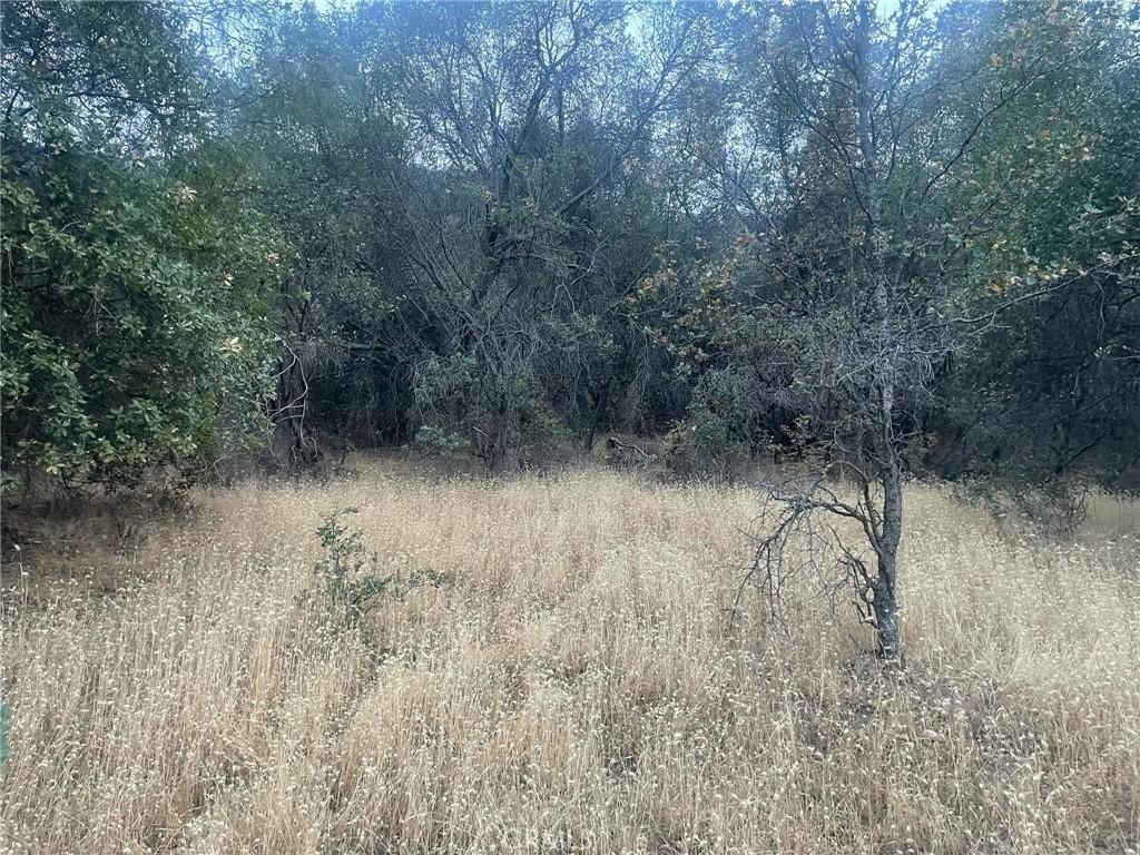 MLS #FR25157524 image #0