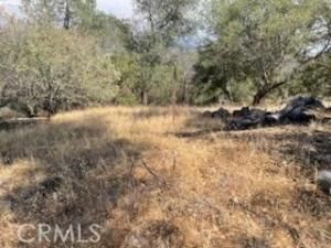 MLS #FR25198126 image #0