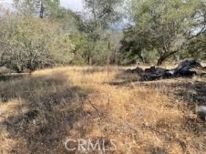 MLS #FR25198126 image #0