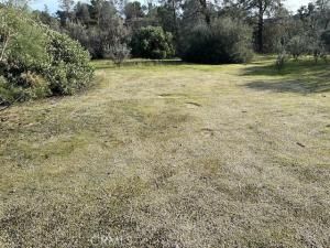 MLS #FR25220557 image #0