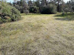 MLS #FR25220557 image #0