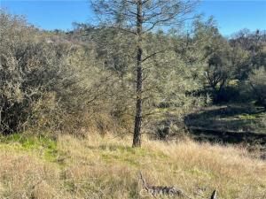 MLS #FR25225734 image #0