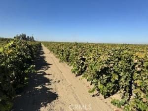 MLS #FR25250829 image #0