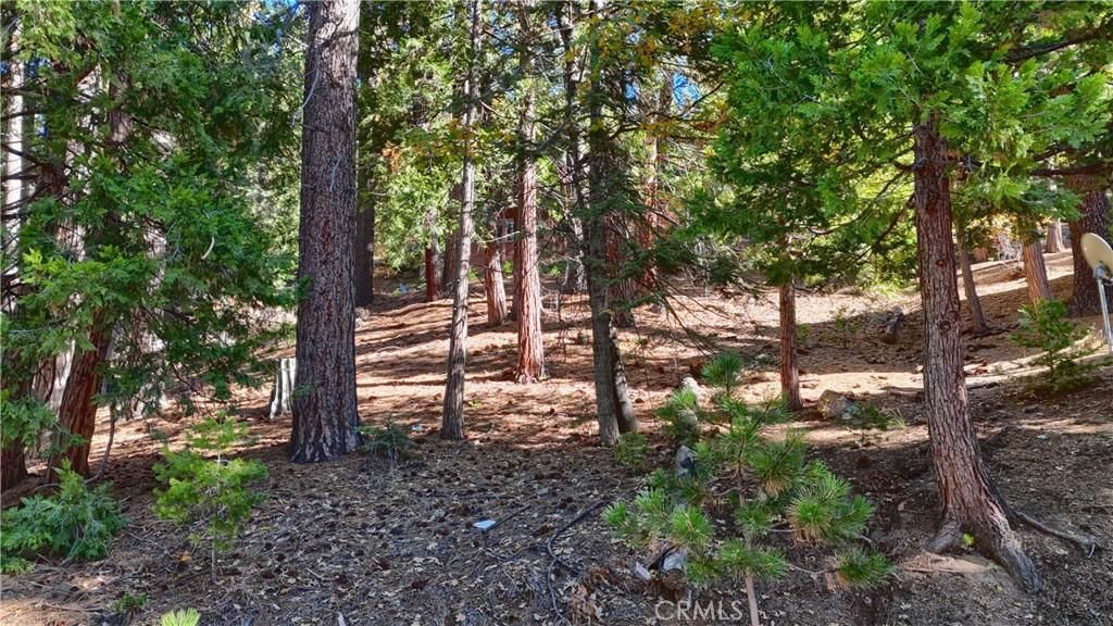 MLS #FR25251655 image #0