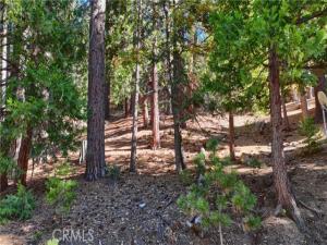 MLS #FR25251655 image #0