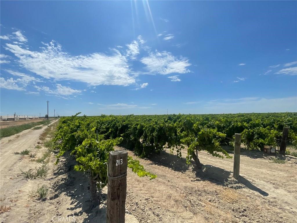 MLS #FR25254330 image #0