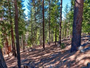 MLS #FR26023287 image #0