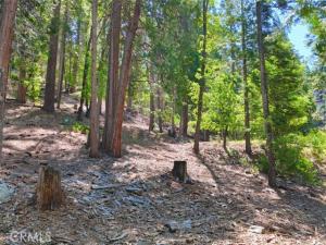 MLS #FR26053472 image #0