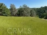 broker reciprocity