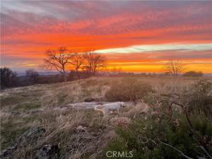Buggy Whip Dr. Coarsegold CA 93614 | MLS #FR26126709 17 MLS #FR26126709 image #0