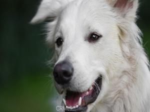 MLS #GD25173553 img 0