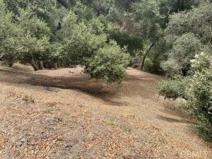 MLS #GD26173205 image #0
