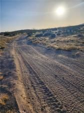 MLS #HD24058260 image #0