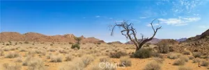 broker reciprocity