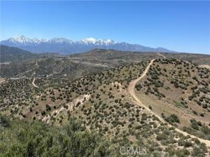 Catfish Hesperia CA 92345 | MLS #HD24075751 41 MLS #HD24075751 image #0