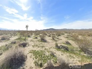broker reciprocity