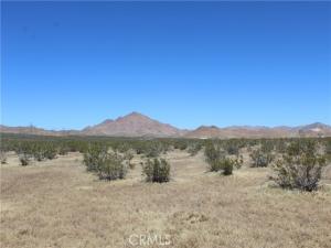 MLS #HD24102329 image #0