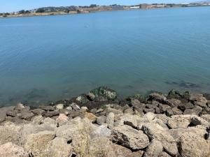 MLS #HD24144130 image #0